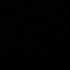 Meet your Posher, Tyson